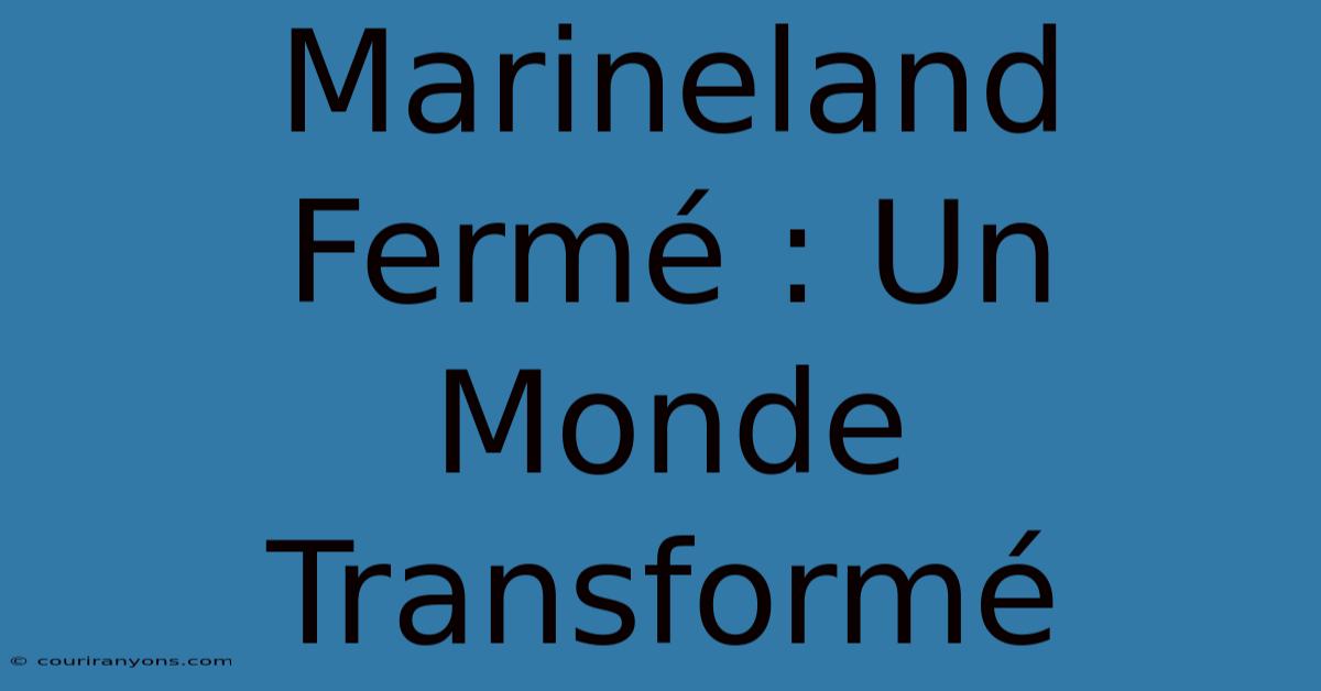 Marineland Fermé : Un Monde Transformé