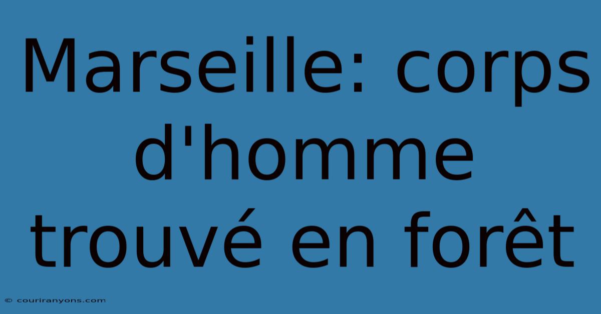 Marseille: Corps D'homme Trouvé En Forêt