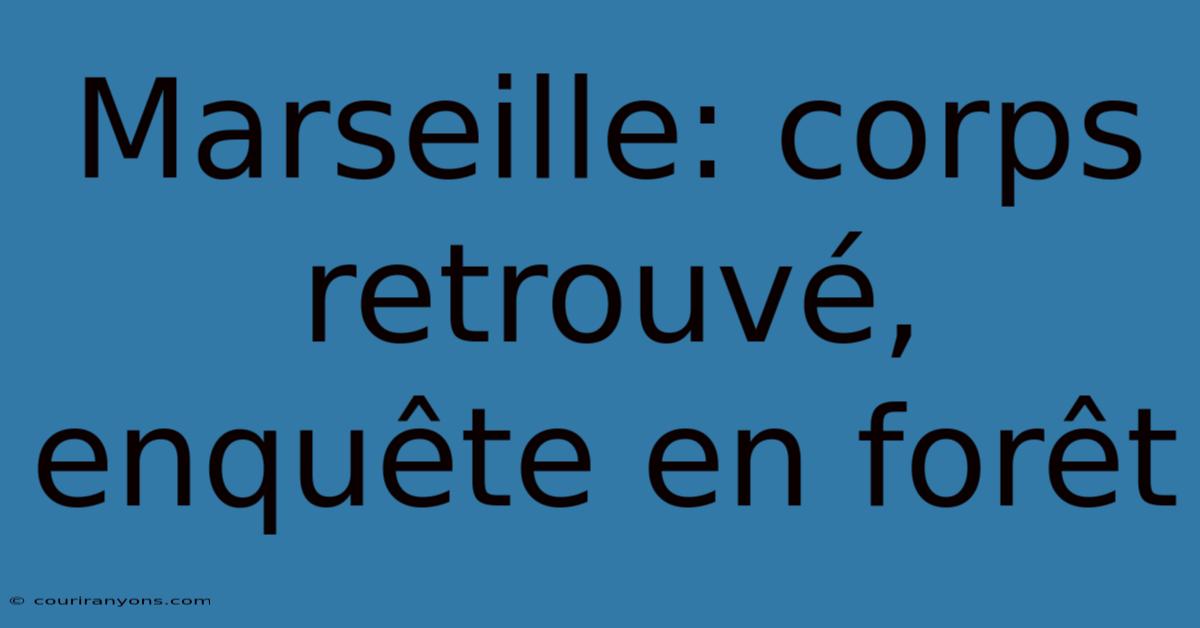 Marseille: Corps Retrouvé, Enquête En Forêt