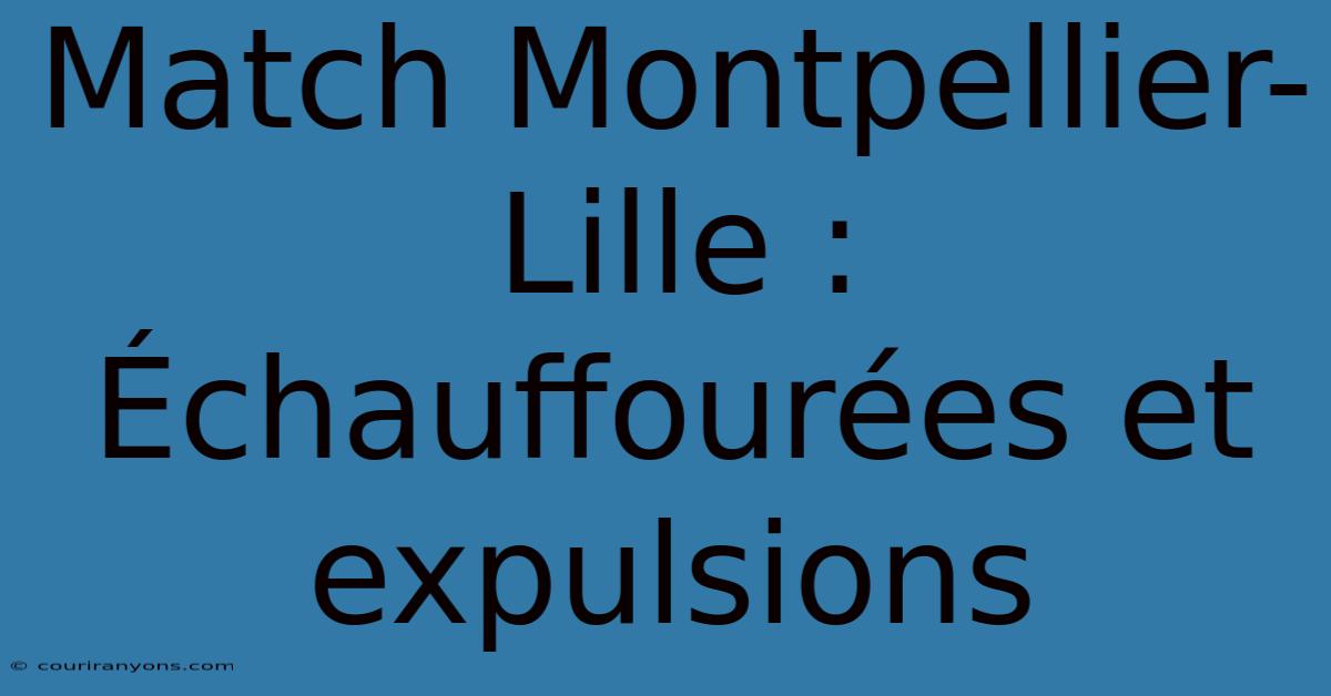 Match Montpellier-Lille : Échauffourées Et Expulsions