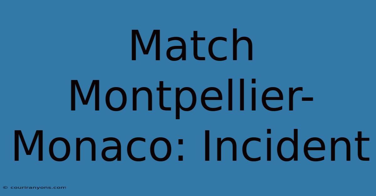 Match Montpellier-Monaco: Incident