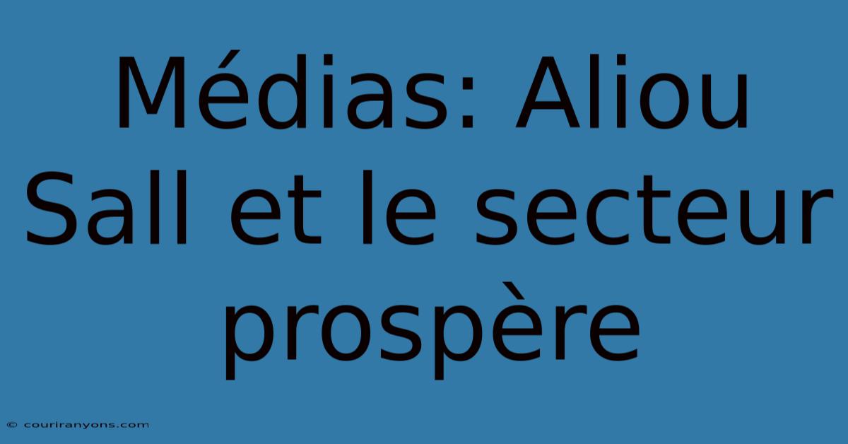 Médias: Aliou Sall Et Le Secteur Prospère