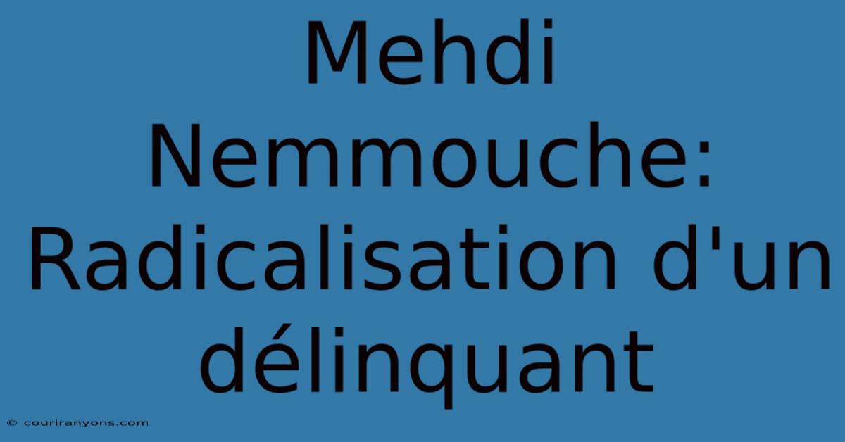 Mehdi Nemmouche: Radicalisation D'un Délinquant