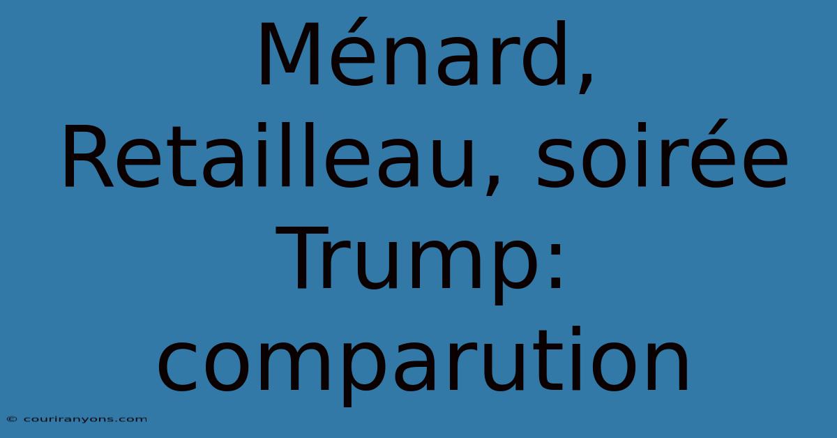 Ménard, Retailleau, Soirée Trump: Comparution