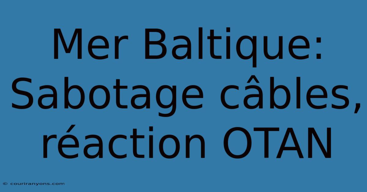 Mer Baltique: Sabotage Câbles, Réaction OTAN