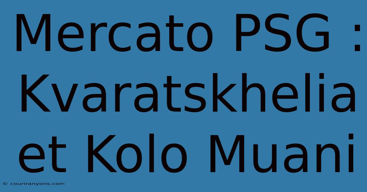 Mercato PSG : Kvaratskhelia Et Kolo Muani