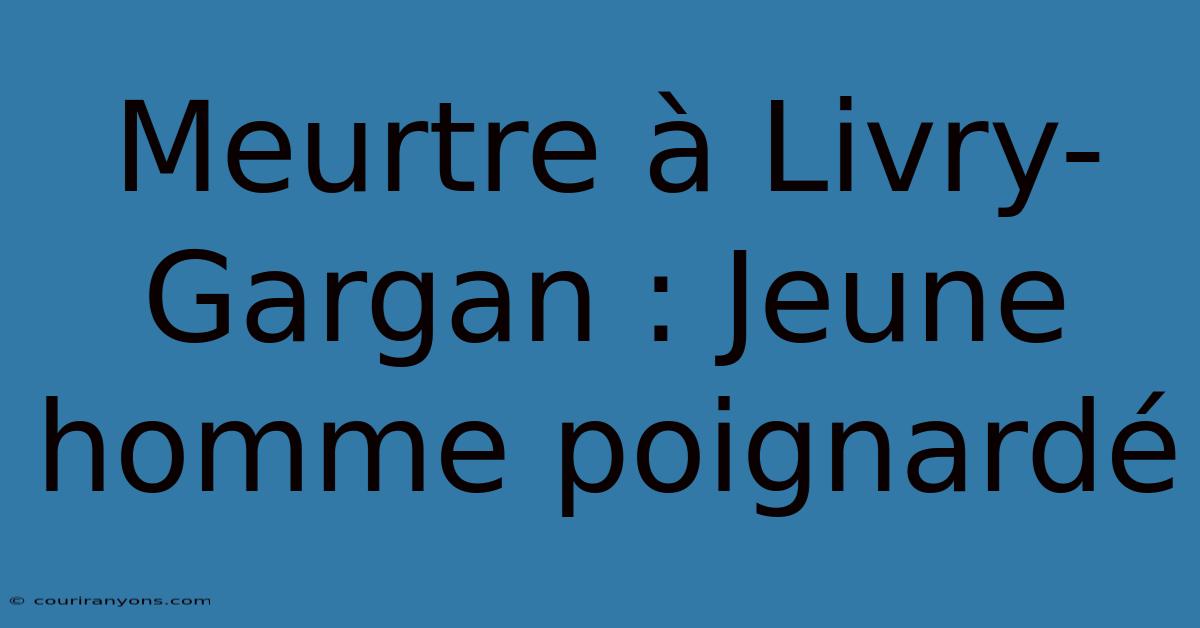 Meurtre À Livry-Gargan : Jeune Homme Poignardé