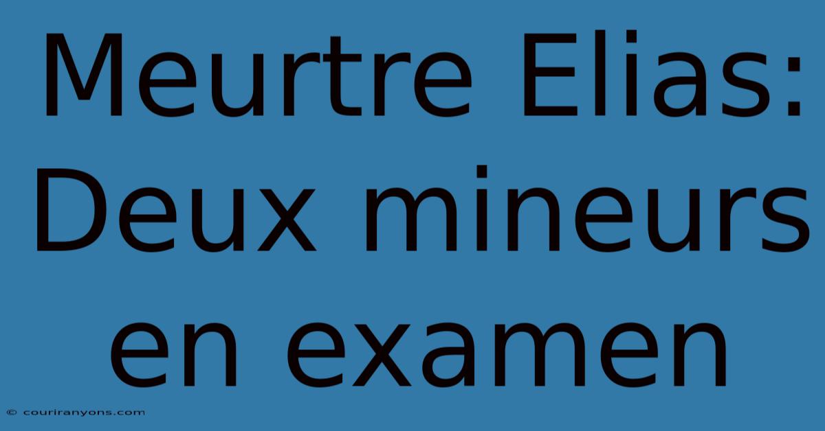 Meurtre Elias: Deux Mineurs En Examen