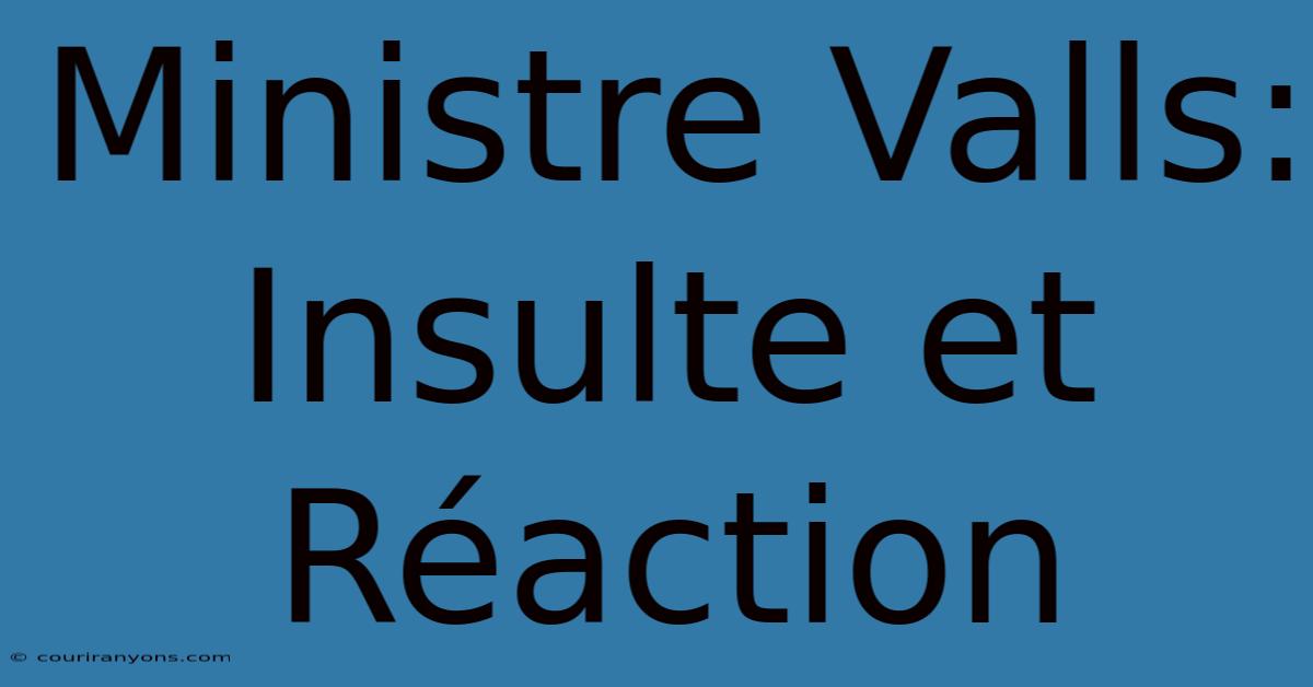 Ministre Valls: Insulte Et Réaction