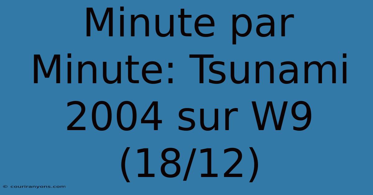 Minute Par Minute: Tsunami 2004 Sur W9 (18/12)