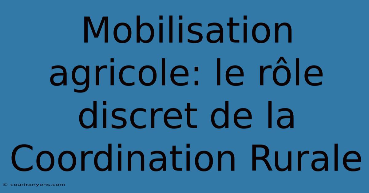 Mobilisation Agricole: Le Rôle Discret De La Coordination Rurale