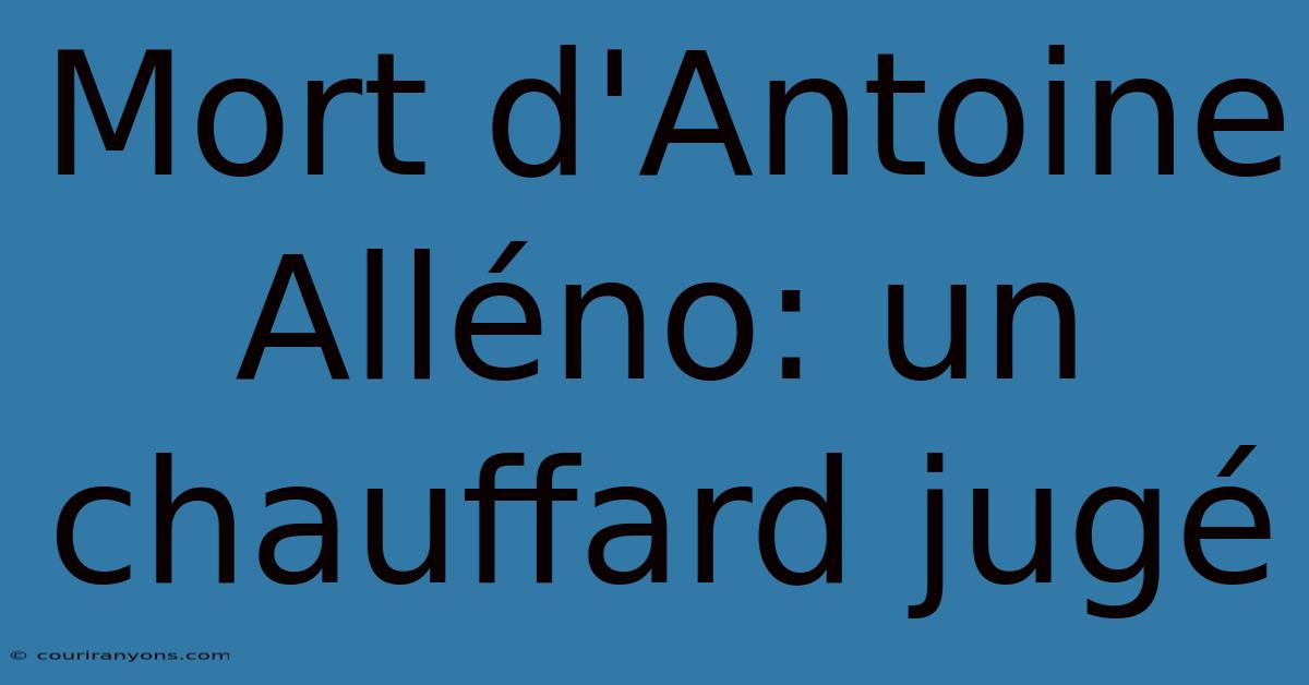 Mort D'Antoine Alléno: Un Chauffard Jugé