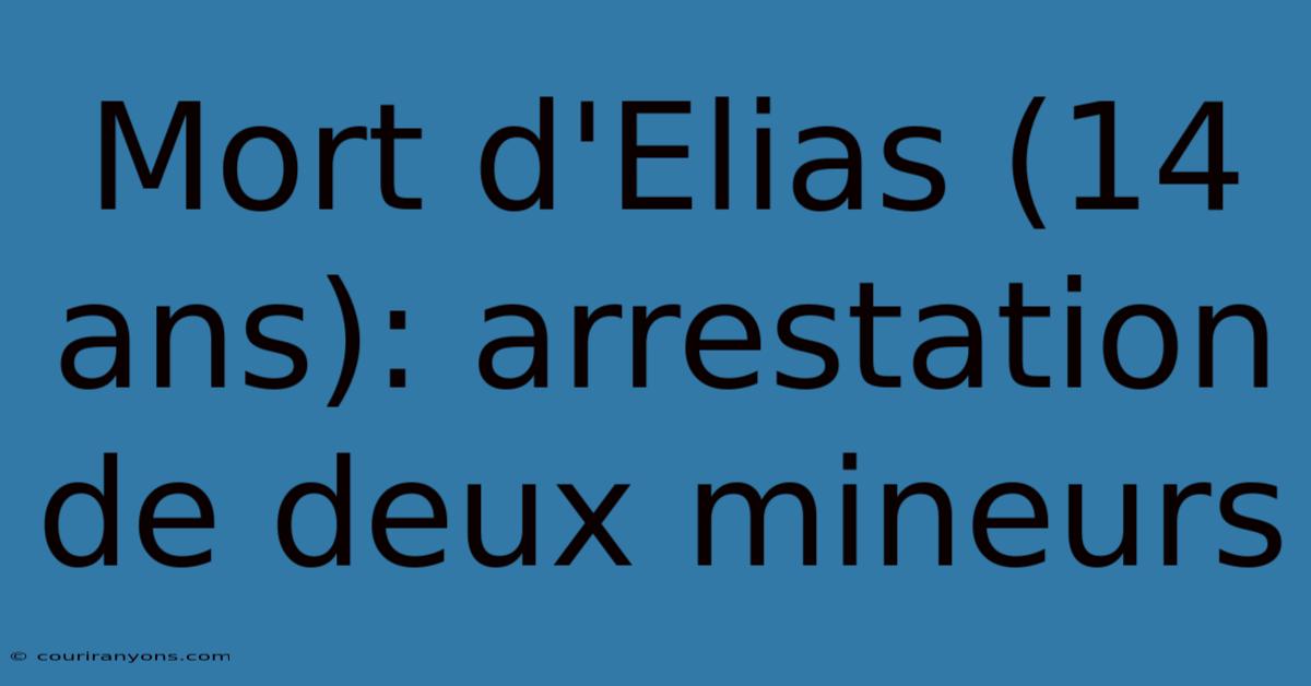 Mort D'Elias (14 Ans): Arrestation De Deux Mineurs