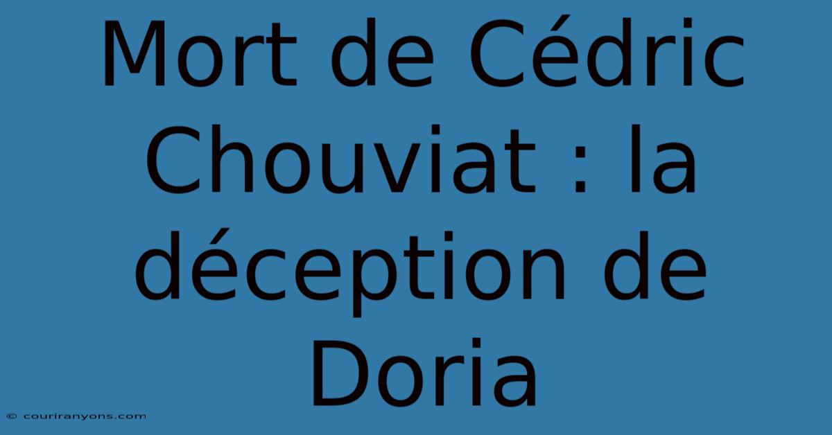 Mort De Cédric Chouviat : La Déception De Doria