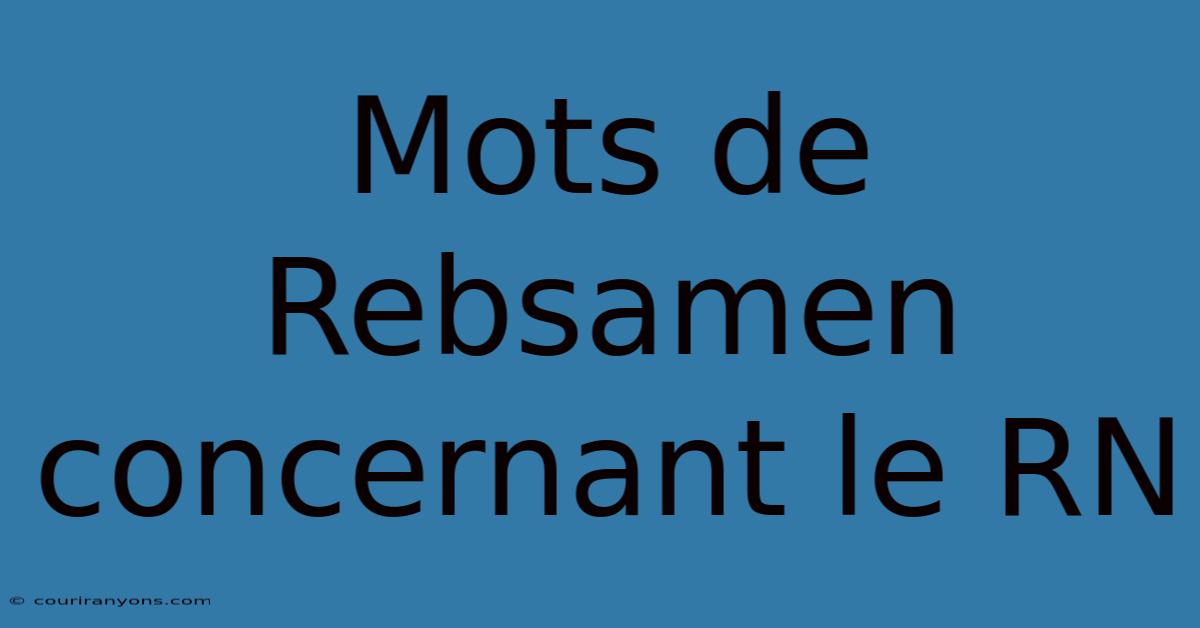 Mots De Rebsamen Concernant Le RN