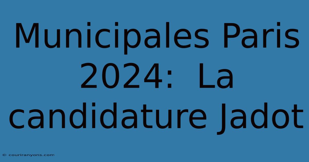 Municipales Paris 2024:  La Candidature Jadot