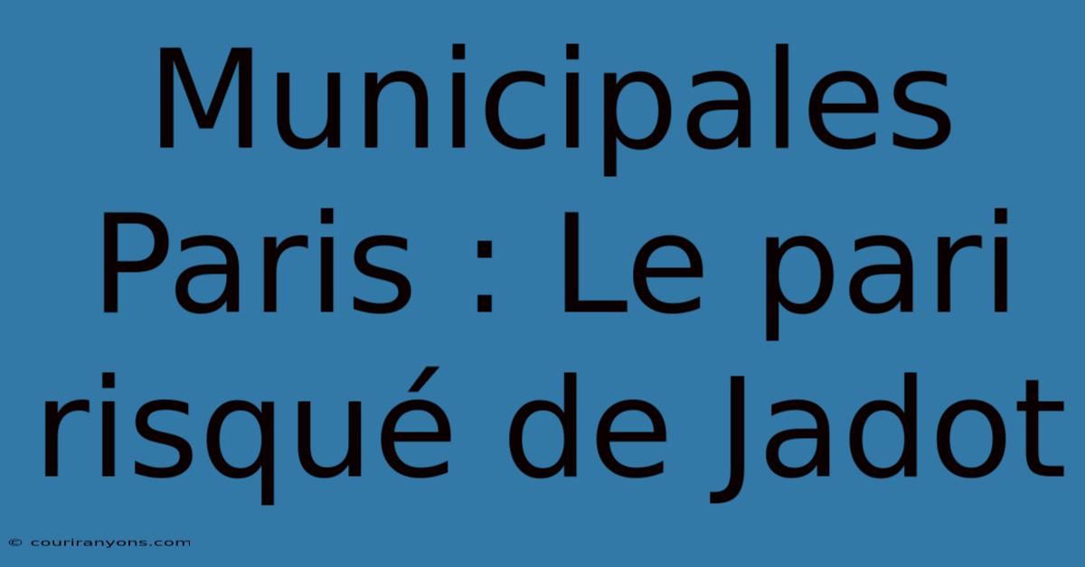 Municipales Paris : Le Pari Risqué De Jadot