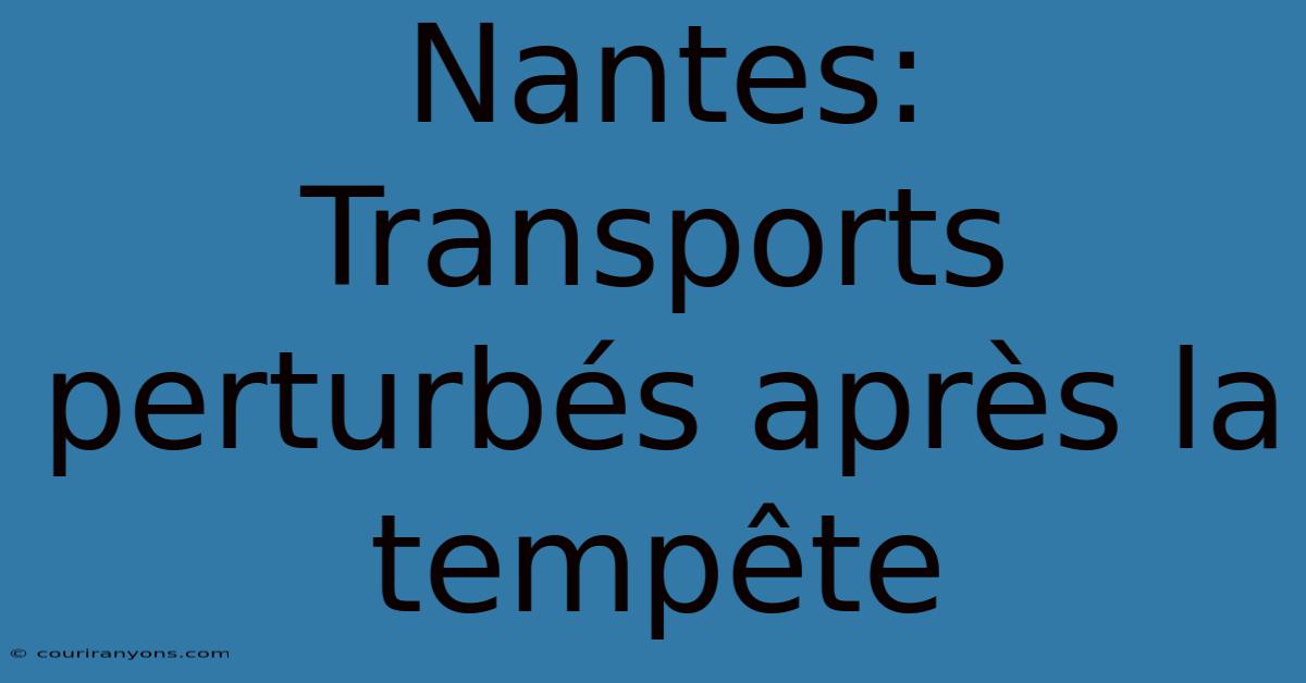 Nantes: Transports Perturbés Après La Tempête