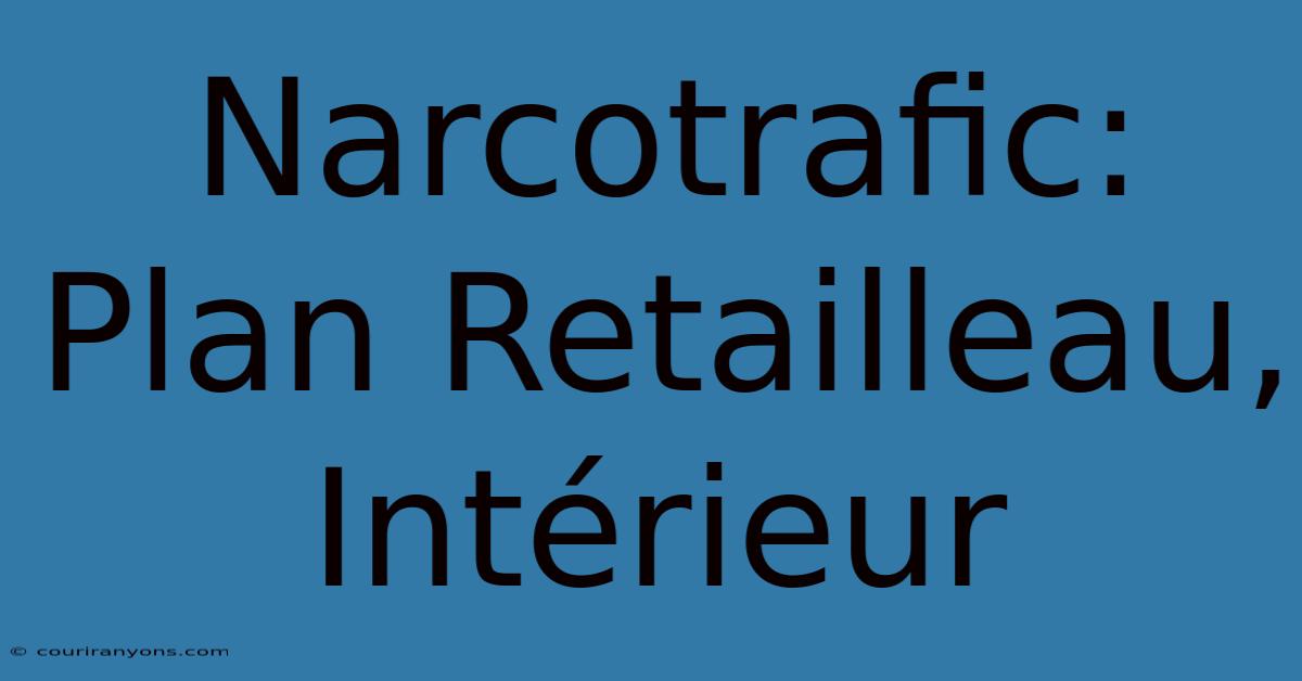 Narcotrafic: Plan Retailleau, Intérieur