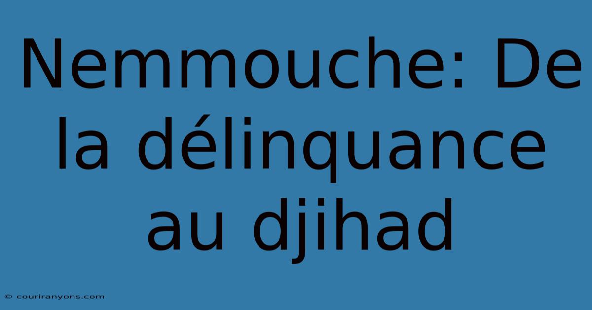 Nemmouche: De La Délinquance Au Djihad