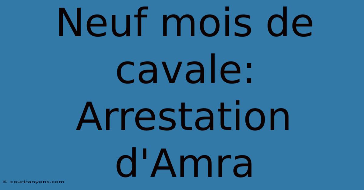 Neuf Mois De Cavale: Arrestation D'Amra