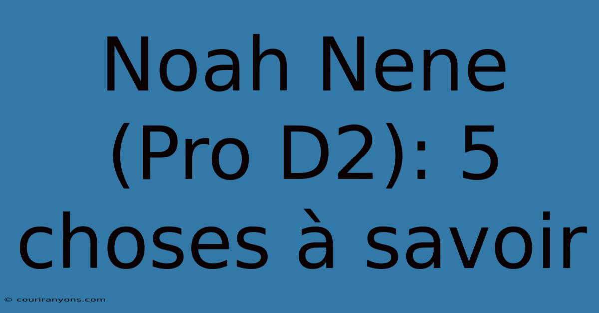 Noah Nene (Pro D2): 5 Choses À Savoir