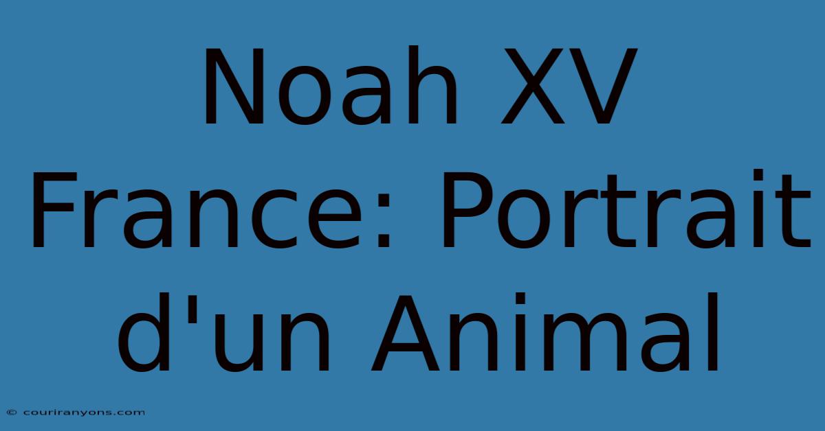 Noah XV France: Portrait D'un Animal