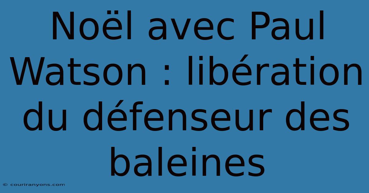 Noël Avec Paul Watson : Libération Du Défenseur Des Baleines