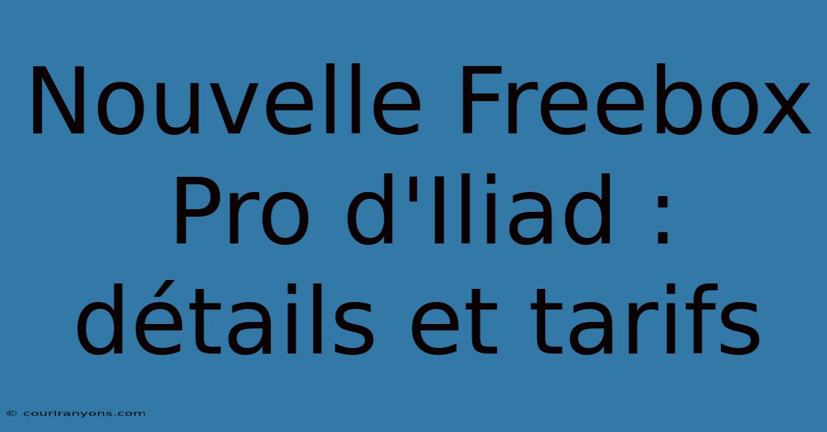 Nouvelle Freebox Pro D'Iliad : Détails Et Tarifs