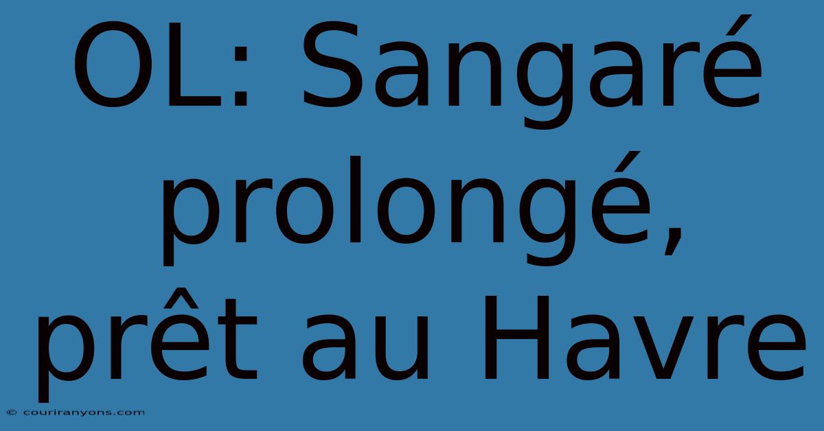 OL: Sangaré Prolongé, Prêt Au Havre