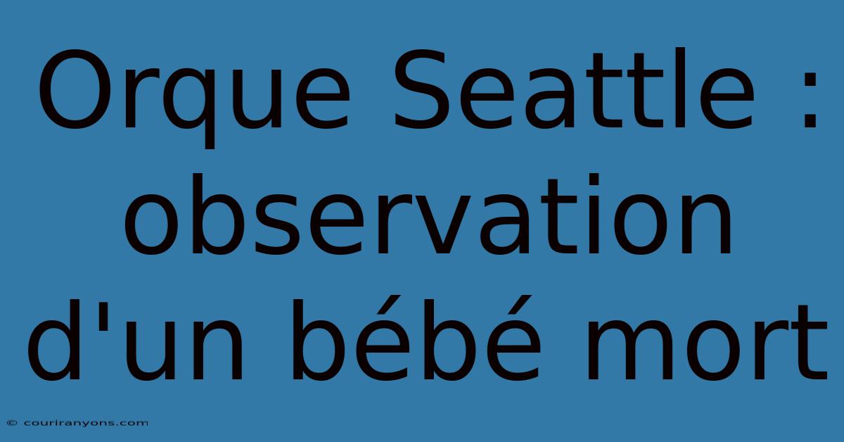 Orque Seattle : Observation D'un Bébé Mort