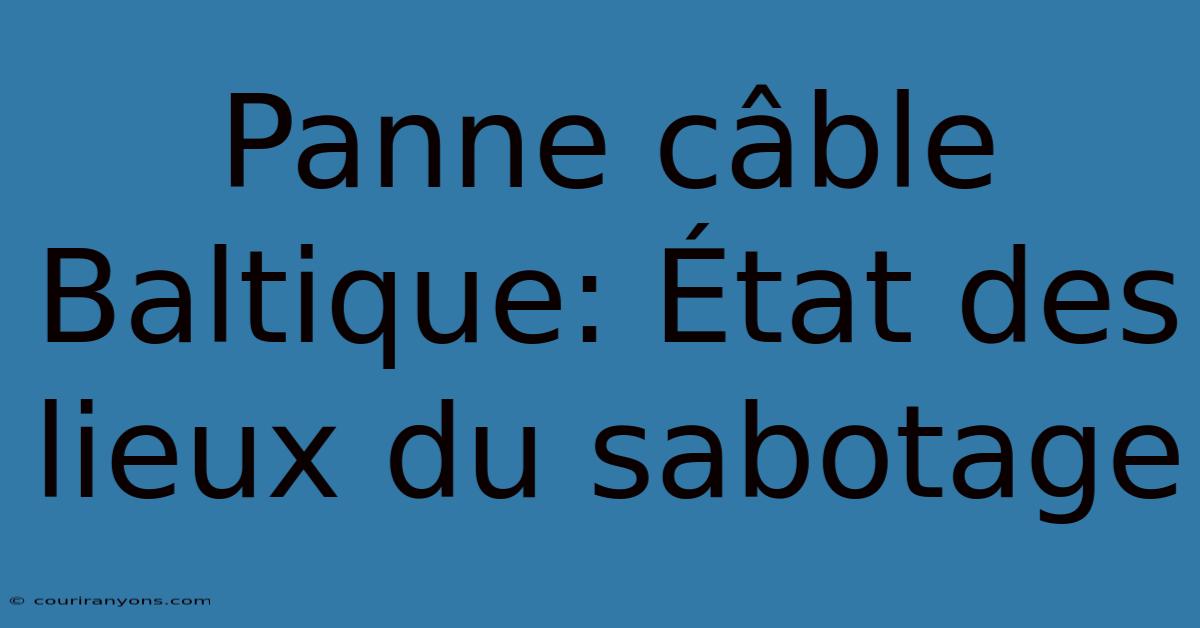 Panne Câble Baltique: État Des Lieux Du Sabotage