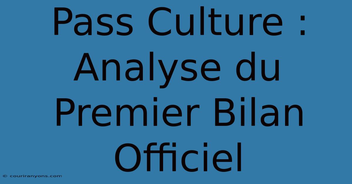 Pass Culture : Analyse Du Premier Bilan Officiel