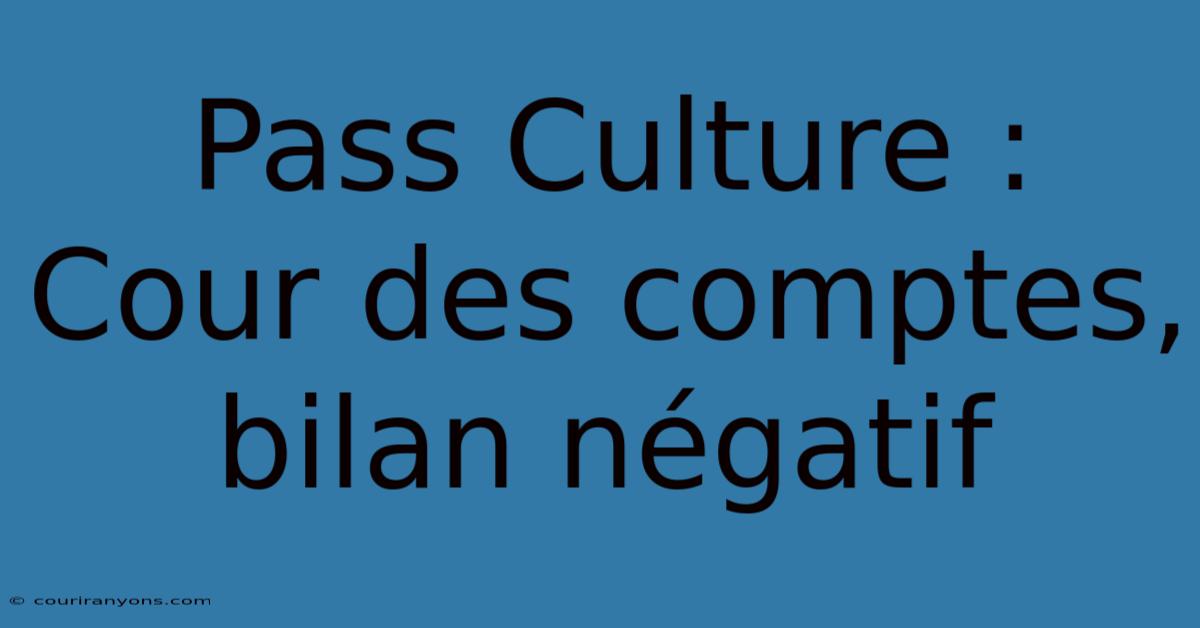 Pass Culture : Cour Des Comptes, Bilan Négatif