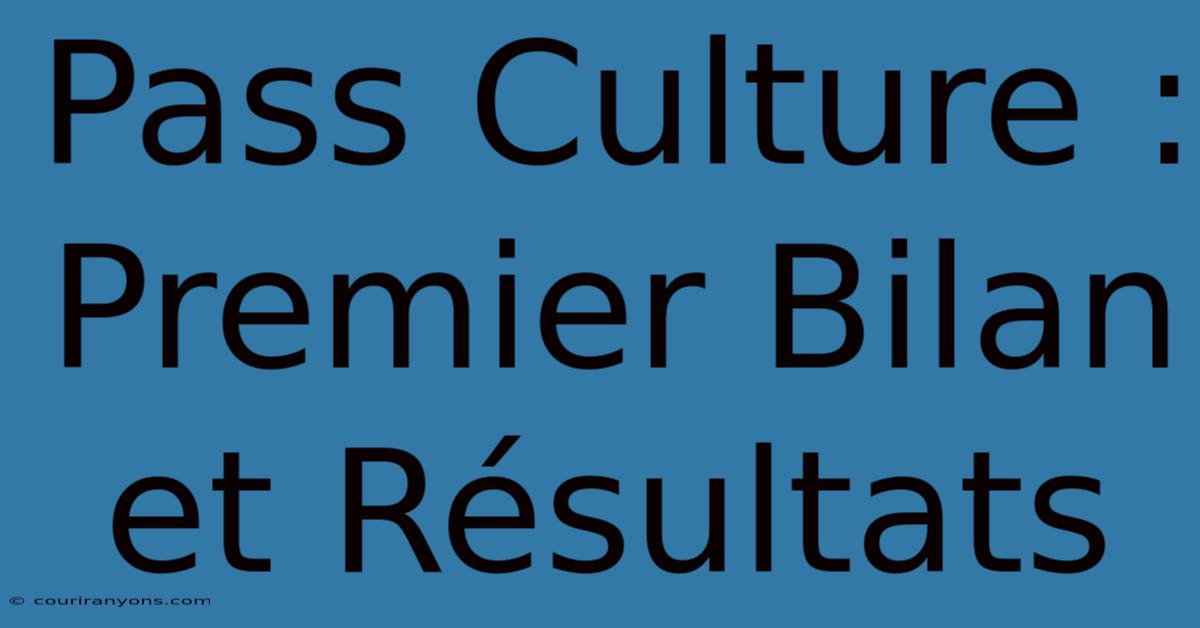 Pass Culture : Premier Bilan Et Résultats