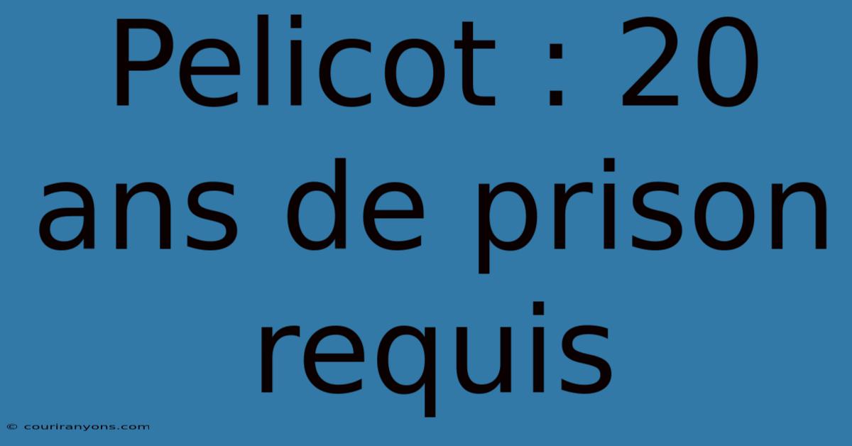 Pelicot : 20 Ans De Prison Requis