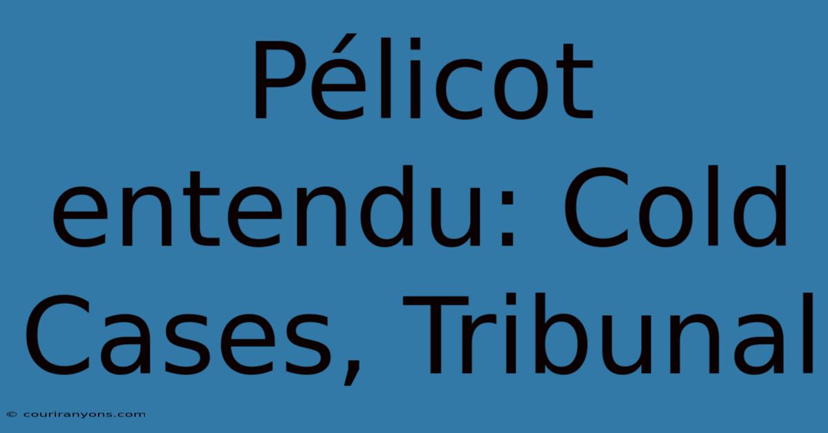 Pélicot Entendu: Cold Cases, Tribunal