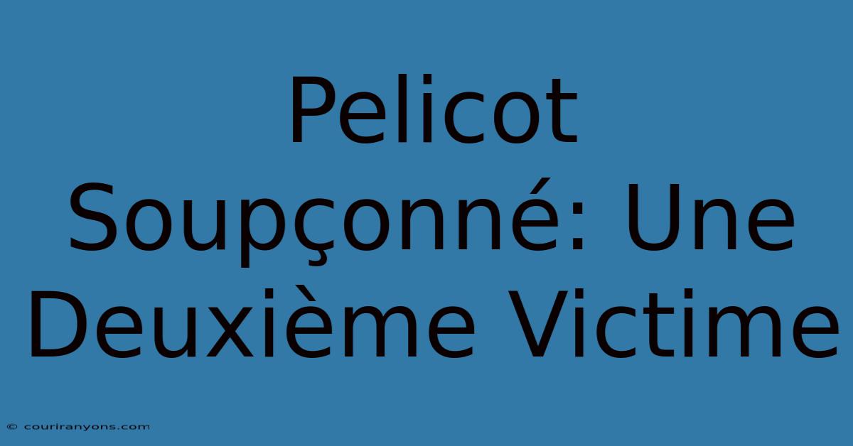 Pelicot Soupçonné: Une Deuxième Victime