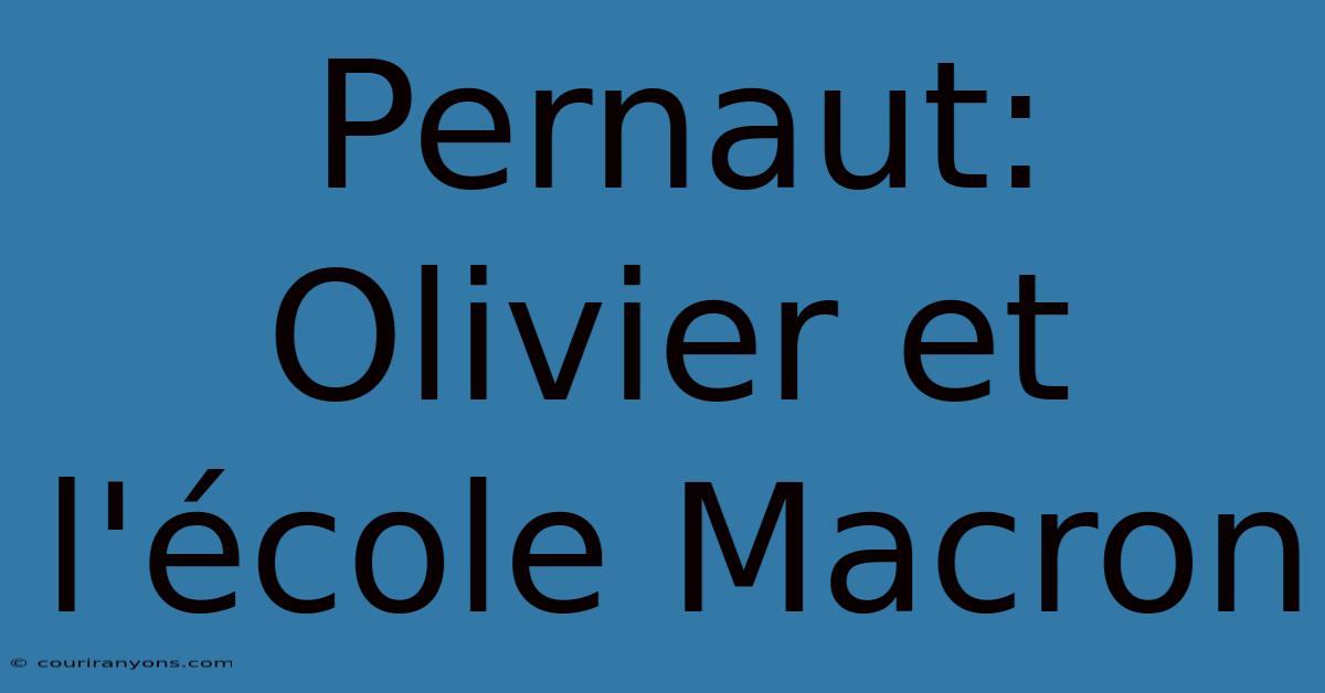 Pernaut: Olivier Et L'école Macron