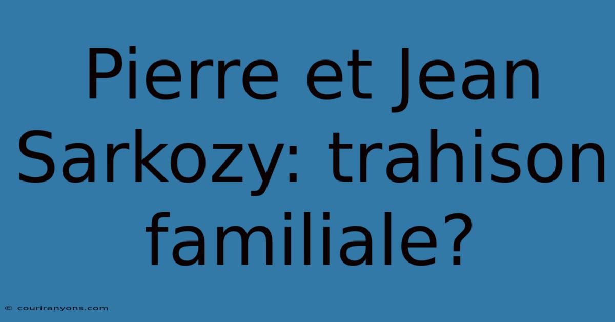 Pierre Et Jean Sarkozy: Trahison Familiale?