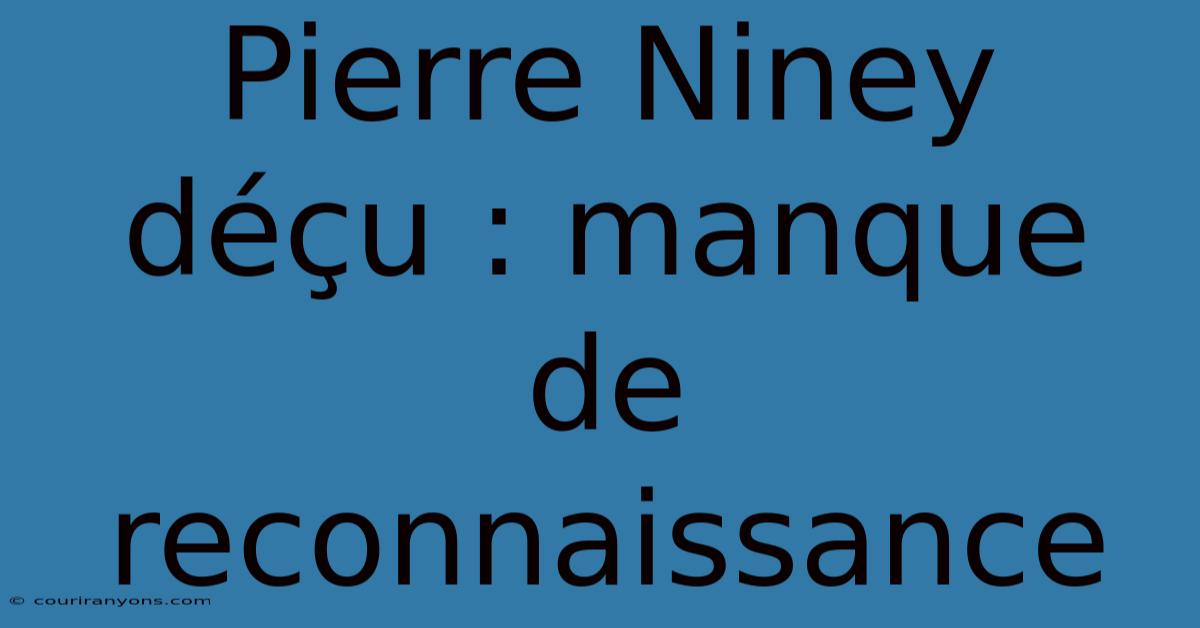 Pierre Niney Déçu : Manque De Reconnaissance