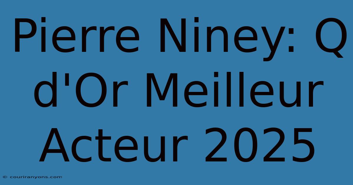 Pierre Niney: Q D'Or Meilleur Acteur 2025