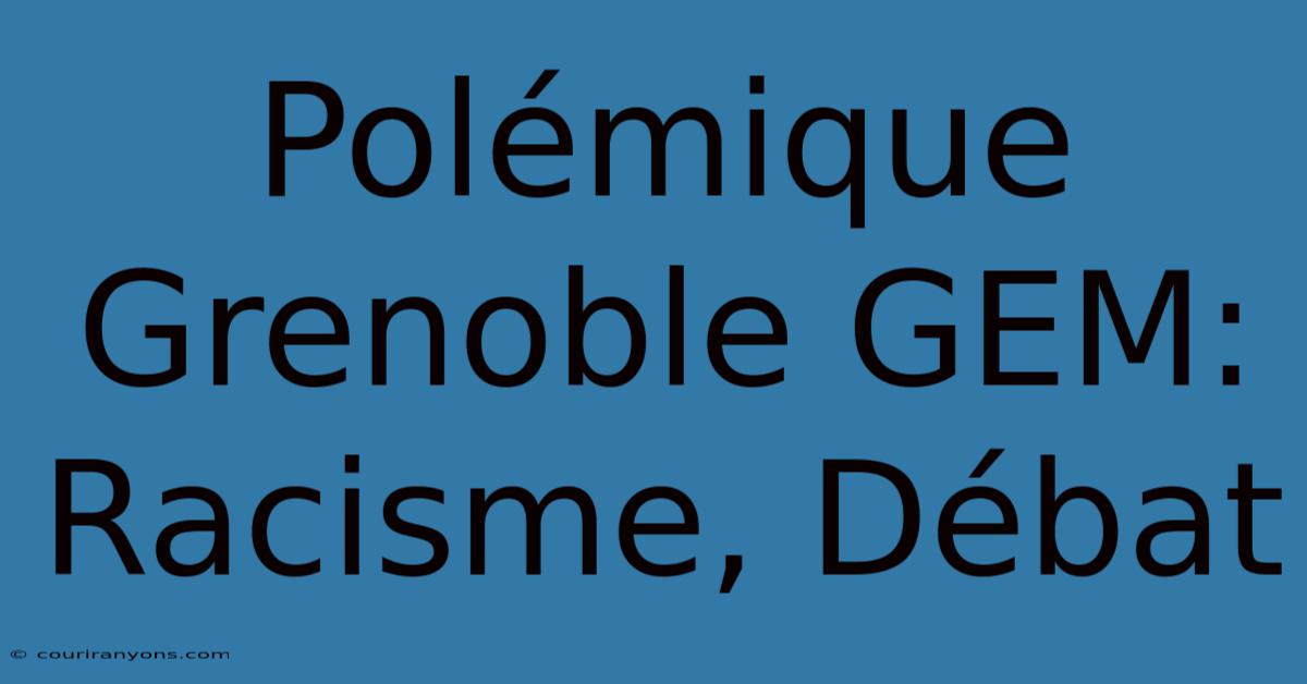 Polémique Grenoble GEM: Racisme, Débat