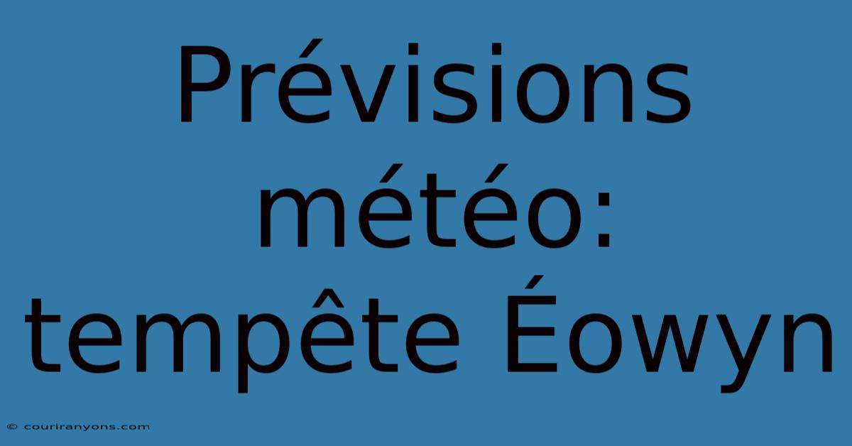 Prévisions Météo: Tempête Éowyn