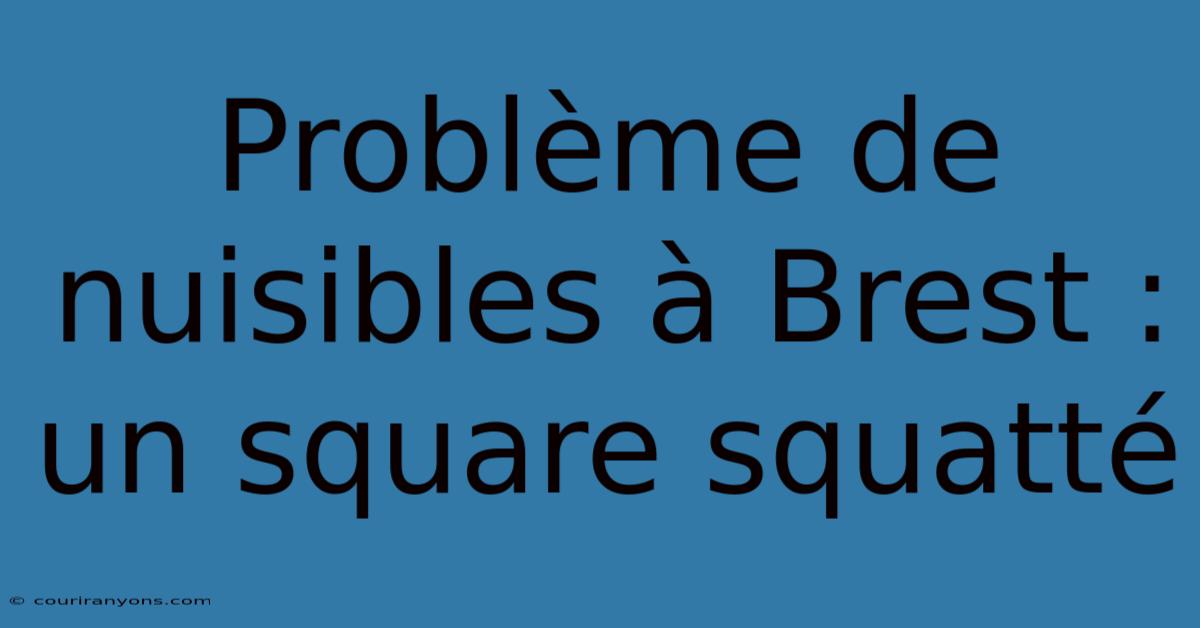 Problème De Nuisibles À Brest : Un Square Squatté