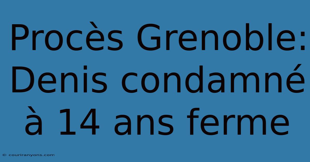 Procès Grenoble: Denis Condamné À 14 Ans Ferme