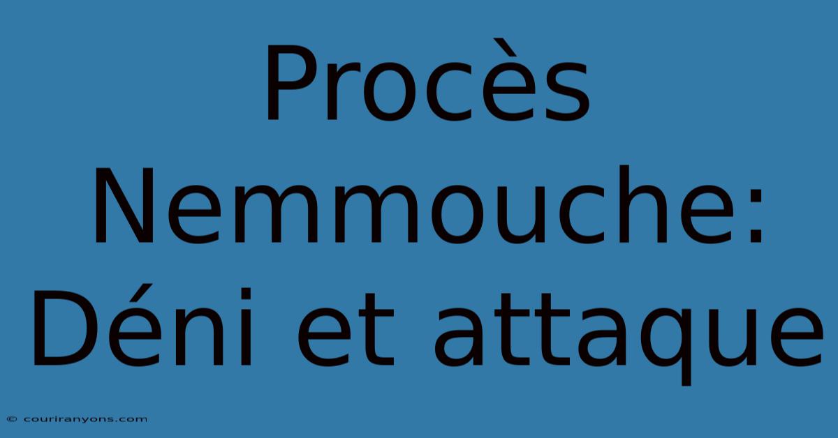 Procès Nemmouche: Déni Et Attaque