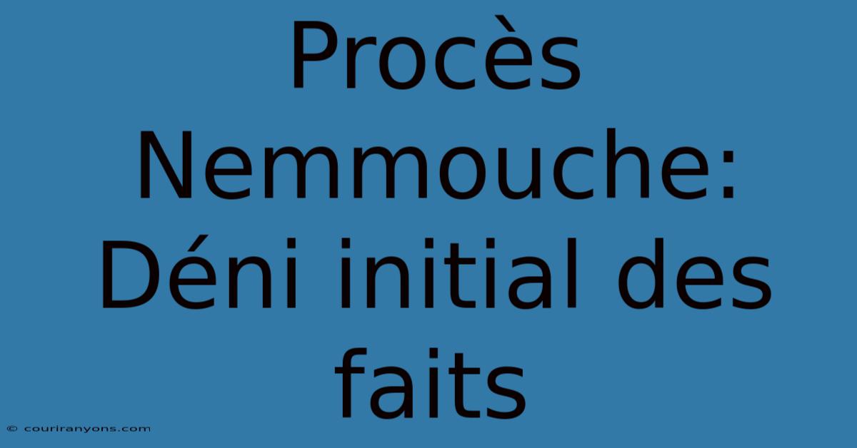 Procès Nemmouche: Déni Initial Des Faits