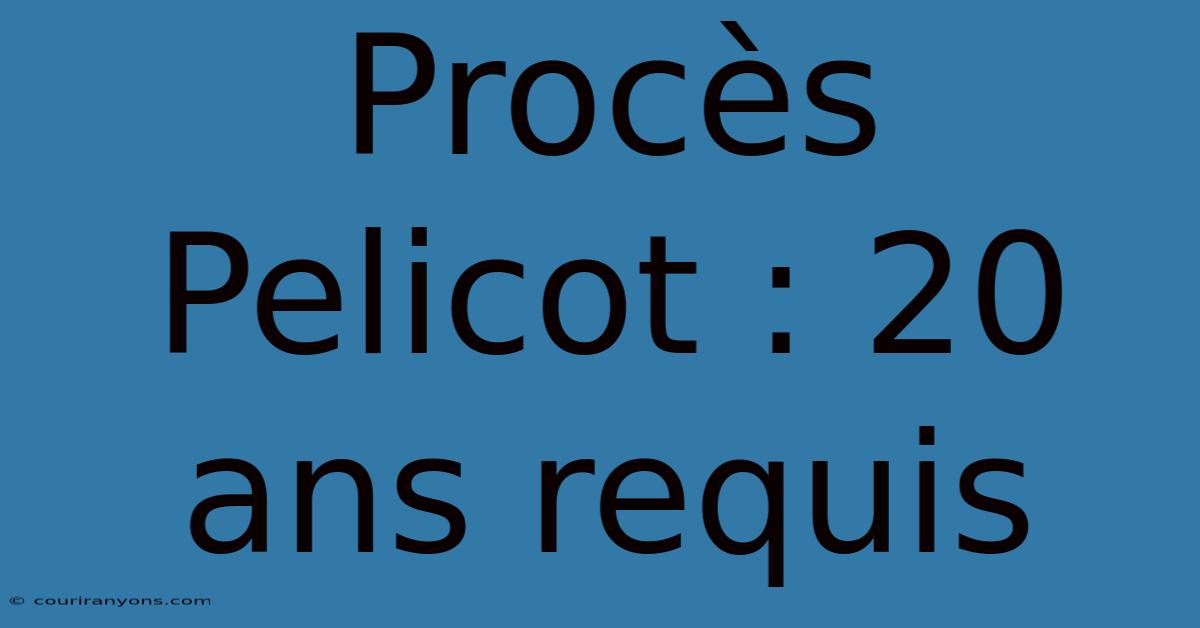 Procès Pelicot : 20 Ans Requis