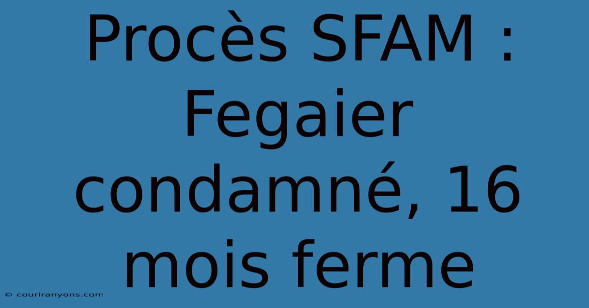 Procès SFAM : Fegaier Condamné, 16 Mois Ferme